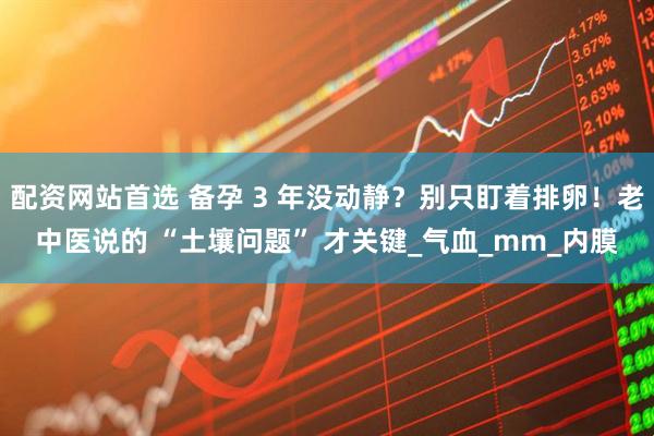 配资网站首选 备孕 3 年没动静？别只盯着排卵！老中医说的 “土壤问题” 才关键_气血_mm_内膜